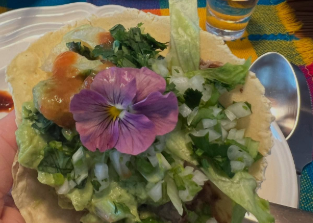 料理研究家・藤井恵、“逆おもてなし”に感激！雪景色の原村で仲間たちとタコスパーティー！