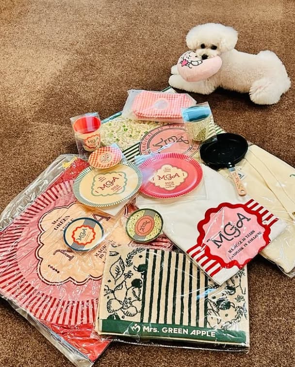 「ナオコさん持ってたら益々素敵に見えるな…」メロちゃんと共演の記念ショットが話題に