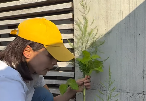 「ローサ農園、始動。」加藤ローサ、家庭菜園スタートの動画に「癒しすぎる！」の声