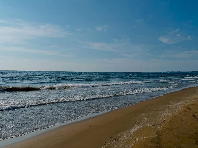 「いつかは四駆で走りたい！」今井翼 千里浜なぎさをドライブウェイ！「最高ですね！」と話題に！