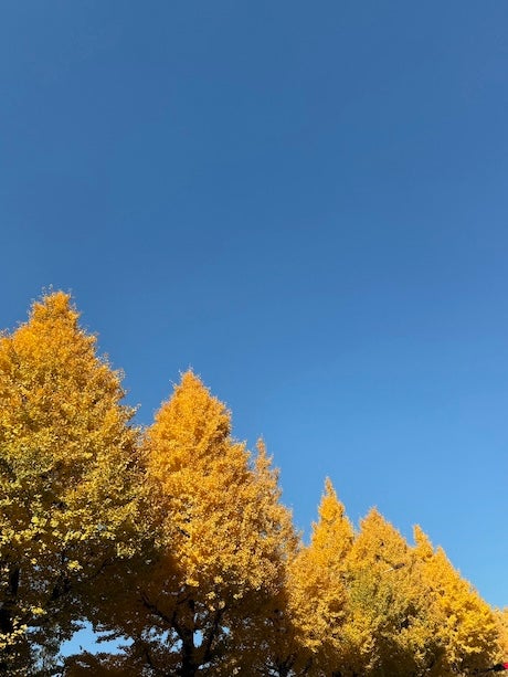 「みんなちゃんと景色見てますか？」TOKIO・国分太一の