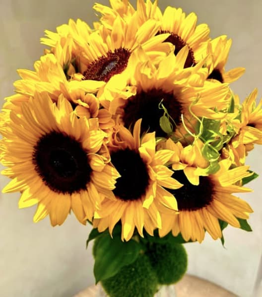 夏木マリ、なんでもない日に見せた素敵な向日葵ショットにファンほっこり