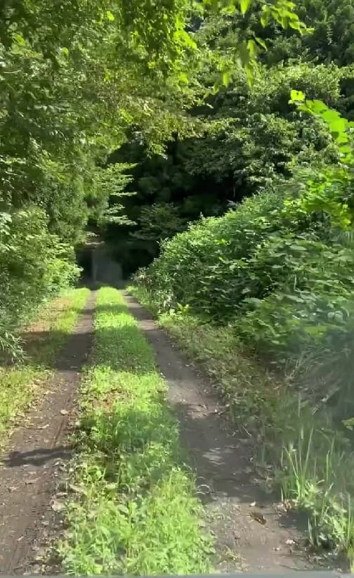 「こんな感じの〇〇で農業やってます」元プロ野球選手・石橋良太がアップした最新ムービーに注目集まる