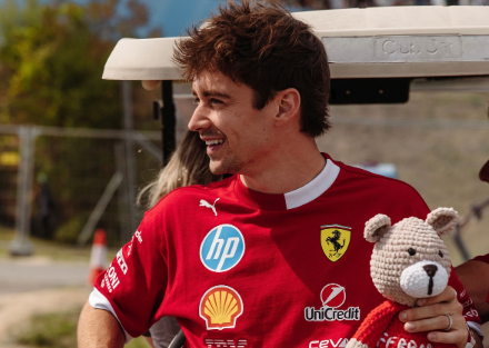 F1 ファンのセンスが炸裂！ハンガリーGPで“名プラカード”続出、SNSでも拡散中