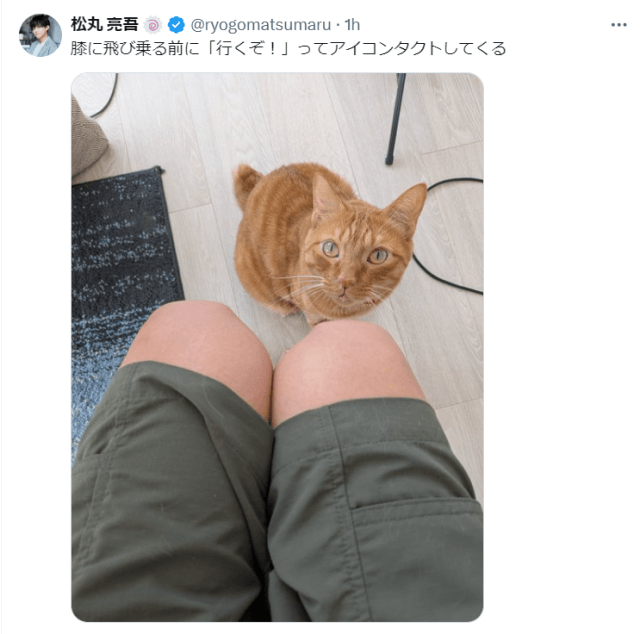 「膝に飛び乗る前に」人気タレントと愛猫の“アイコンタクト”エピソードにキュン確定