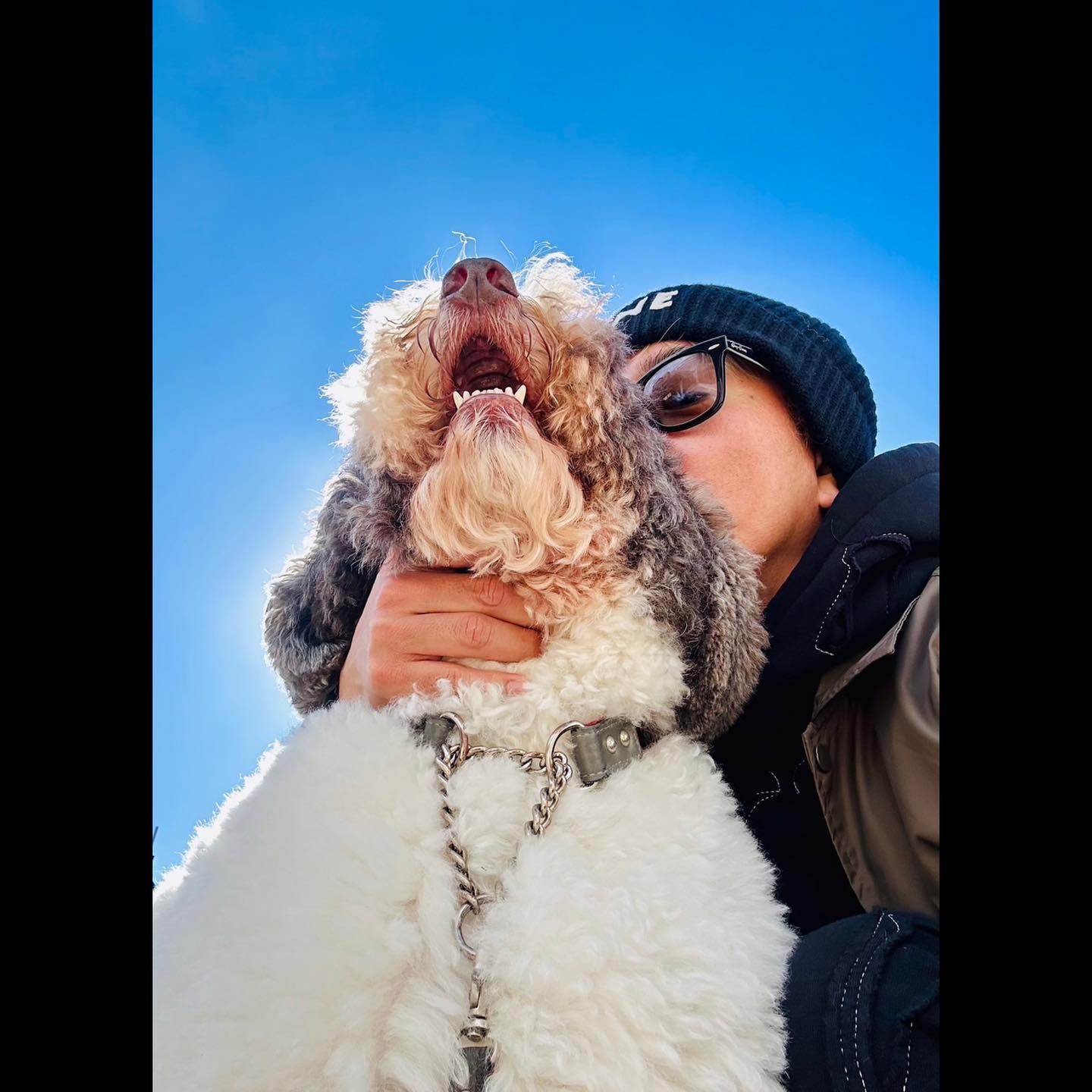 木村拓哉が青空の下で愛犬との密着2S公開📸🐶