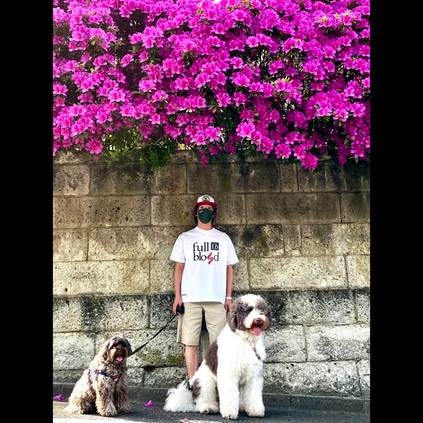 木村拓哉さんが愛犬2匹と9000歩の散歩🐶美しい花の写真も公開✨