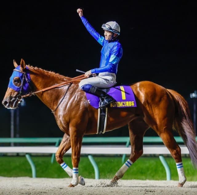 JRA騎手の坂井瑠星、元騎乗馬が2年連続最優秀ダートホースに選出され喜びの投稿！
