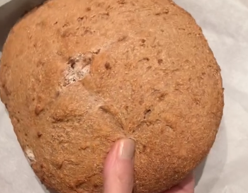 工藤静香、自家製天然酵母パンを披露「味見させたいくらいおいしい！」