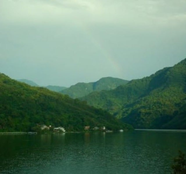 吉岡里帆が出演の「正体」が日本アカデミー賞で最多12部門プラス新人俳優賞を受賞！