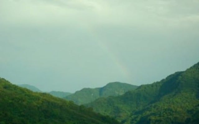 吉岡里帆が出演の「正体」が日本アカデミー賞で最多12部門プラス新人俳優賞を受賞！