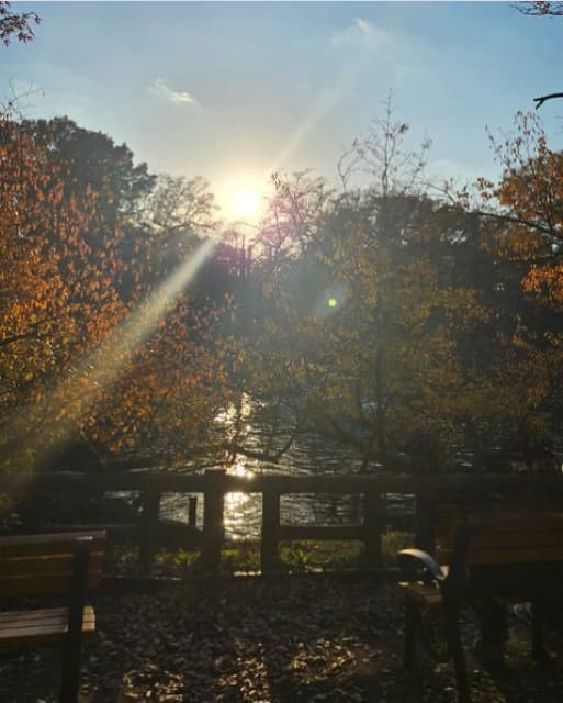 市井紗耶香、自身のInstagramで「深呼吸」の大切さを発信