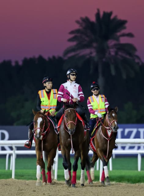 JRA騎手の坂井瑠星、遠征先のドバイでの調教写真を公開！