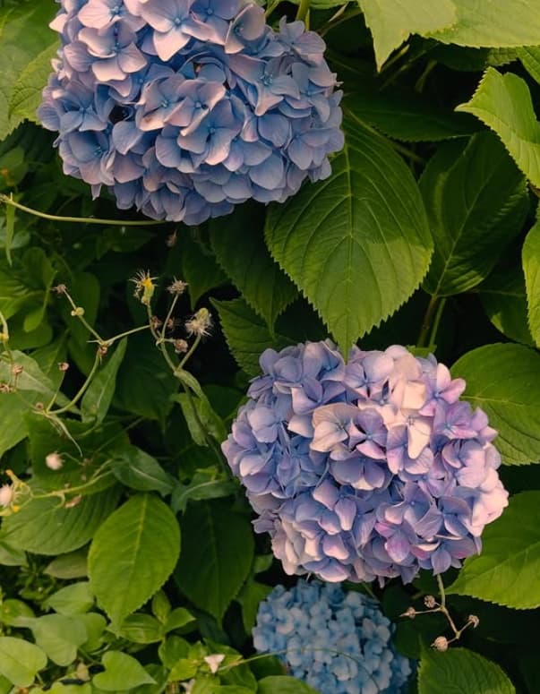 「振り返れば色々あったねー」加藤夏希結婚10周年、日常の“あれこれ”に共感の声