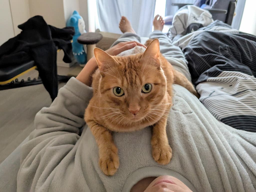 松丸亮吾「なんだか体が重いな…と思って」犯人が「可愛すぎる」と話題に