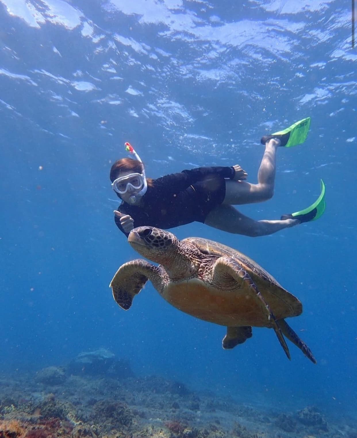 阿部詩 海かめとツーショット！！！「かわいいすぎる」と話題に❤️