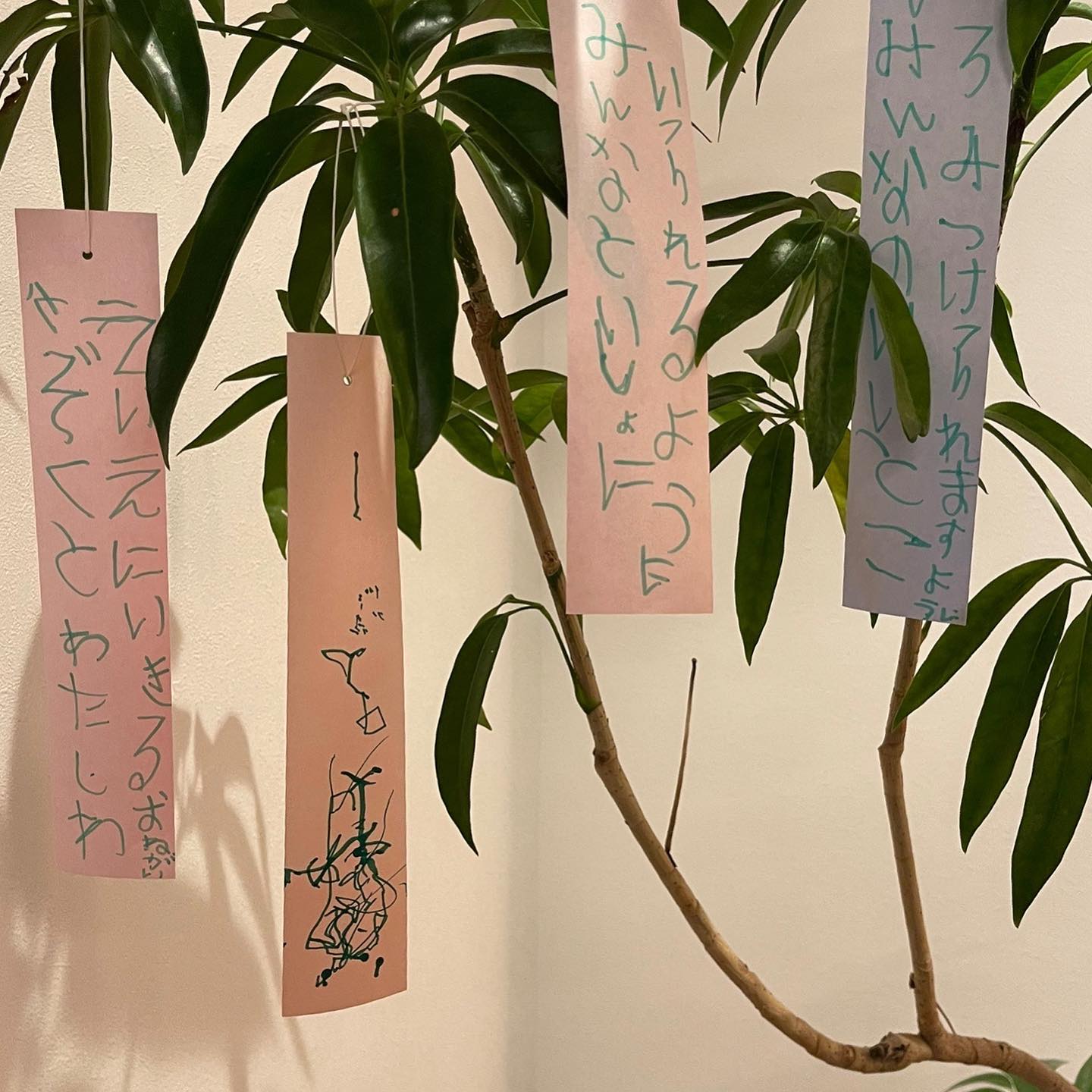 田村淳さんが5歳長女の家族愛溢れる七夕短冊に感動😢「みんなといっしょに いられるように」