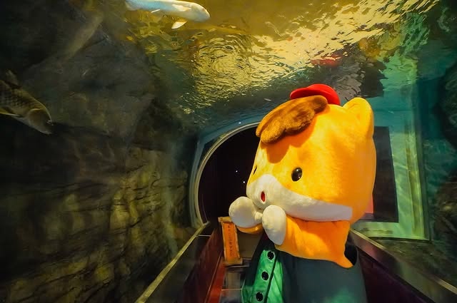 「道の駅に◯◯◯あるの知ってた〜？」ぐんまちゃん、素敵な情報提供に「知らなかった」「楽しそ～」