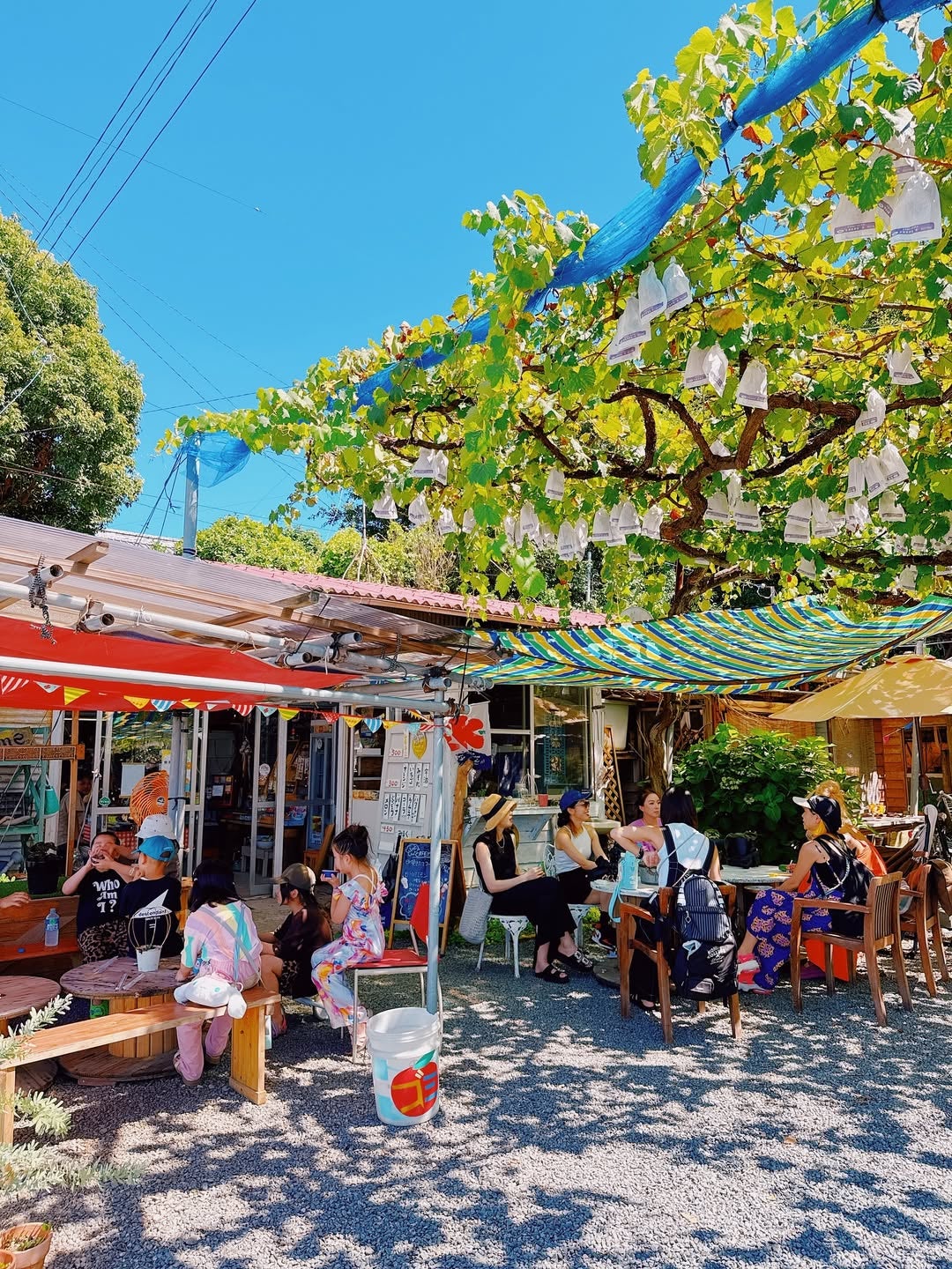 寝ても食べても笑ってもOK！自然体験を満喫するスザンヌ流おもてなし