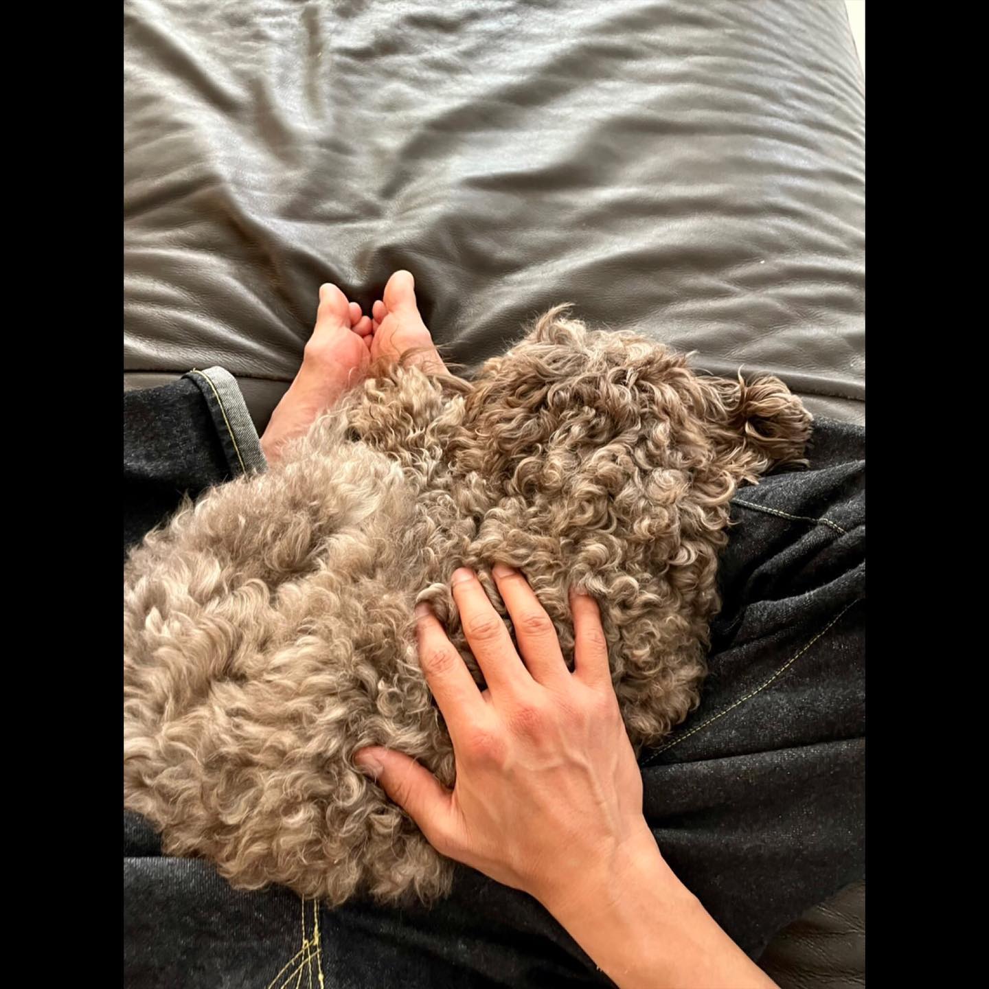 連日の暑さに木村拓哉さんの愛犬もダウン？💦