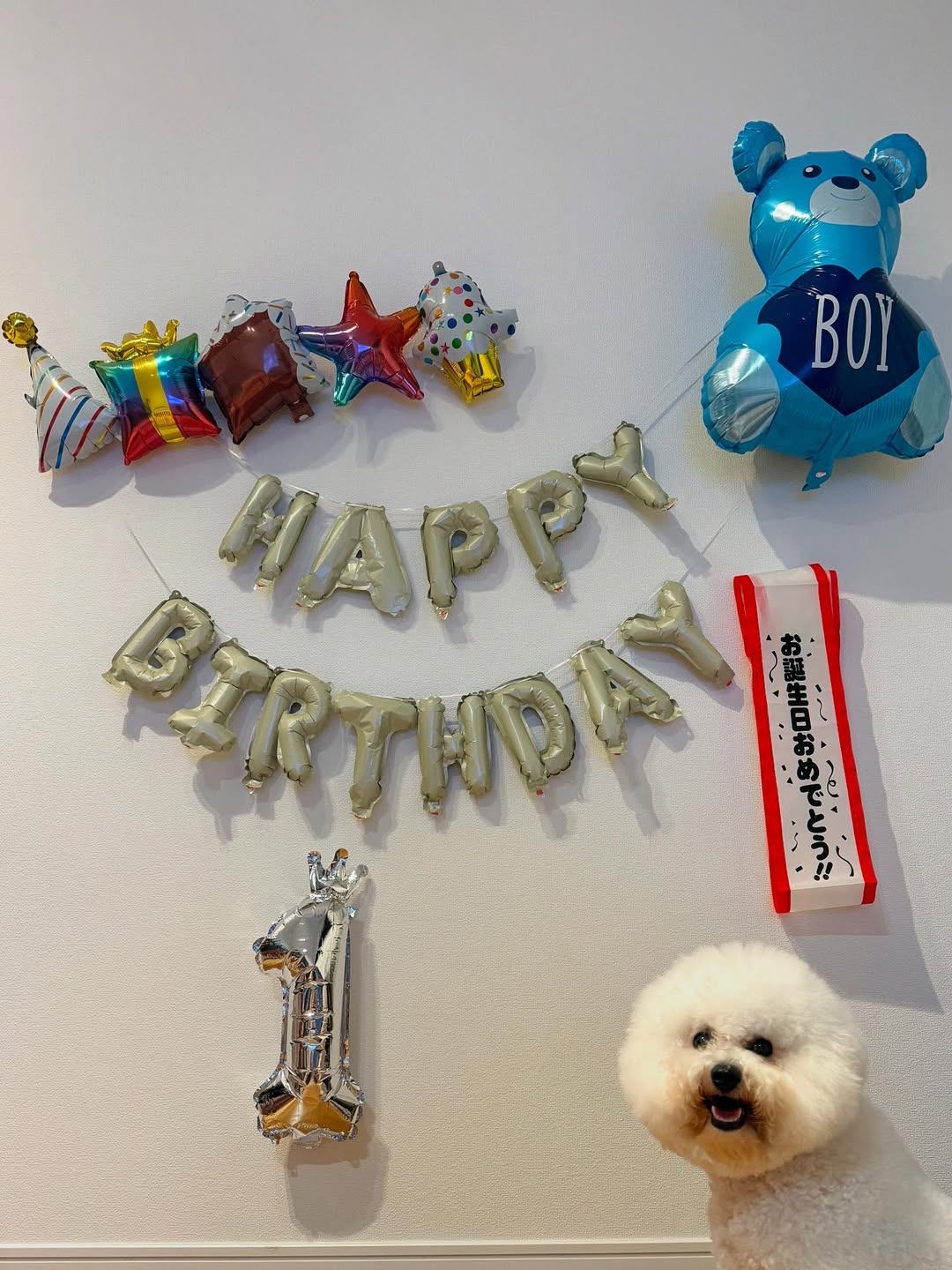 「愛してるぞーーーーー！！」柔道家・阿部詩が愛犬の誕生日をお祝い！