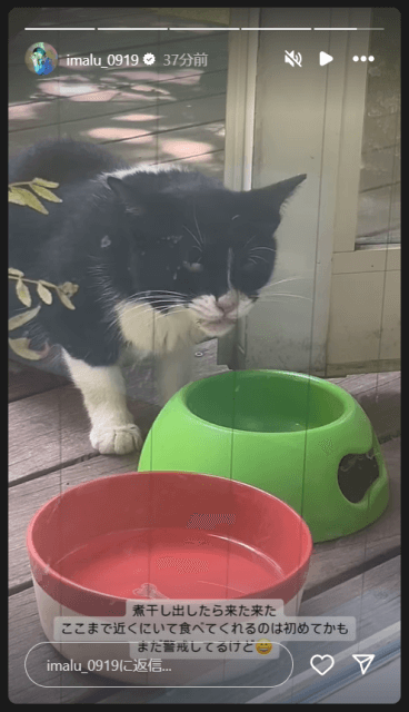 「久しぶりに会えたバットマン」IMALUの元に舞い降りたのは白黒の天使？