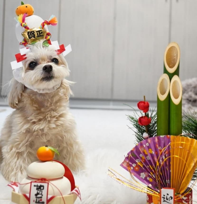 磯山さやか、毎年恒例のショットにファンもほっこり！「幸せいっぱい」