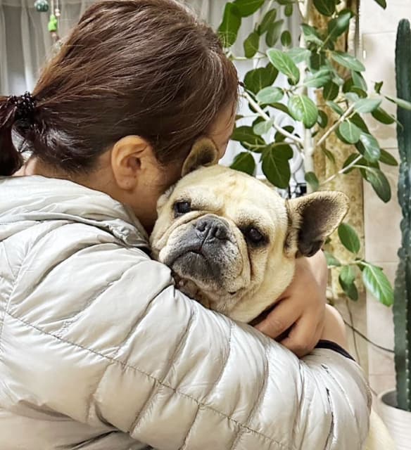 タレント 北斗晶 愛犬「花」がこの世を旅立つ・・・