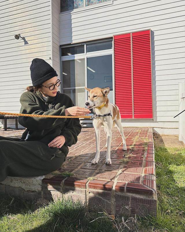 川口春奈が保護犬と触れ合う姿を披露🐶「殺処分ゼロを心から願います」