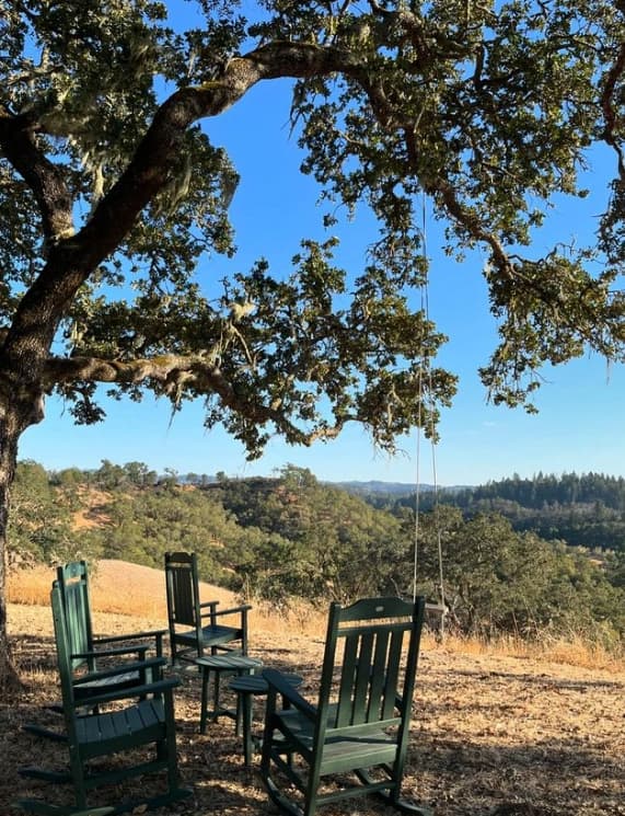 『気持ち良すぎた〜！』あの人気タレントがNapaで体験した絶景ランとは？