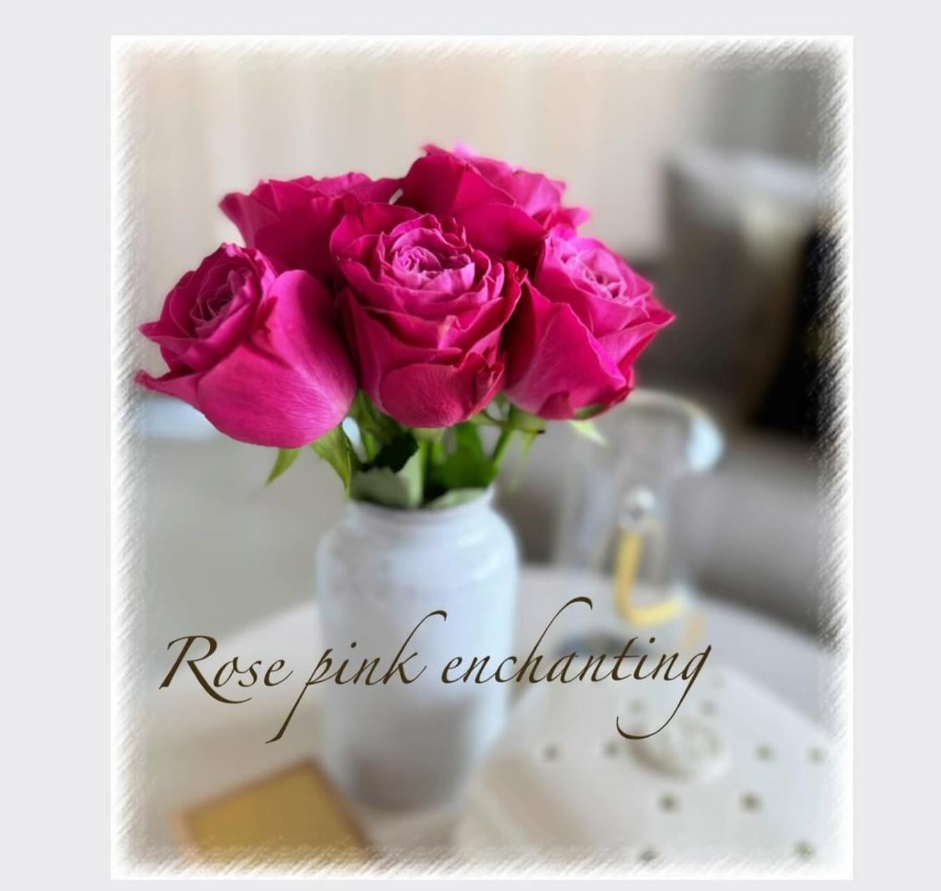 吉瀬美智子、夏日の体調不調を率直に報告「エアコンでイマイチ」