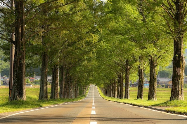 ”イケメン”陸上競技選手　今の気持ちは「リラックスしたい」
