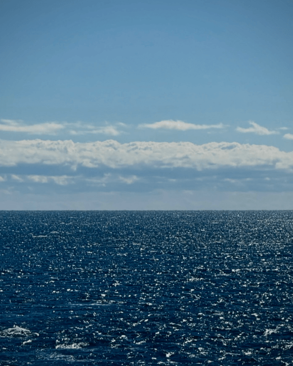 小島瑠璃子がコメントを発表「ずっと一緒に子どもの成長を見守っていけるものだと」