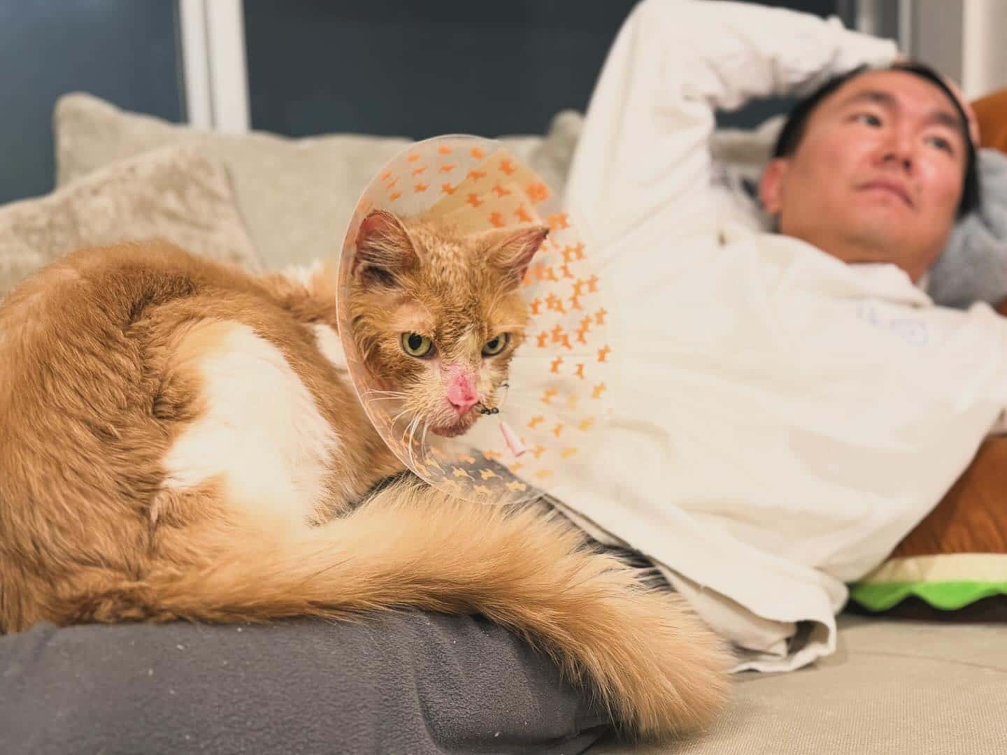 かまいたち・山内愛猫との2ショット公開🐈「幸せな光景🥰」