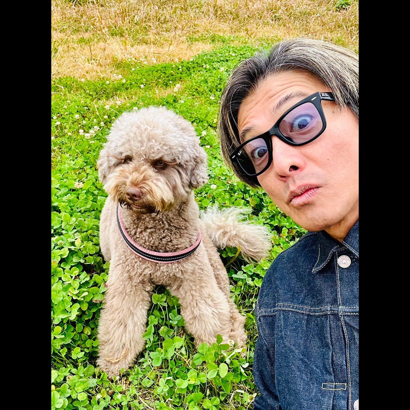木村拓哉が愛犬と散歩も寒さに思わず「犬達は気持ち良さそうに歩いてましたが、、、」👀