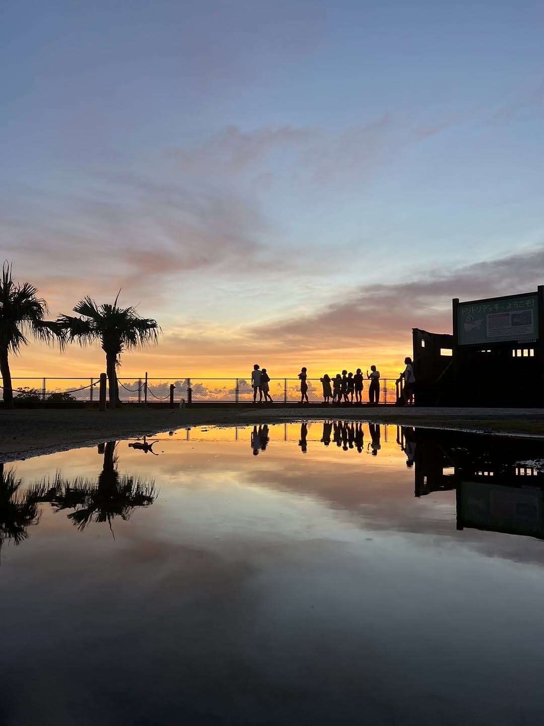 「家族がバラバラに…」元柔道日本代表のモデル妻がこの夏旅行で経験したコトに注目集まる