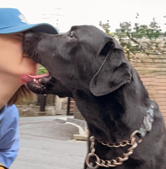 「愛に“食べられた”朝」星野真里が綴るユーモラスな短歌と愛犬との癒しショットが話題！