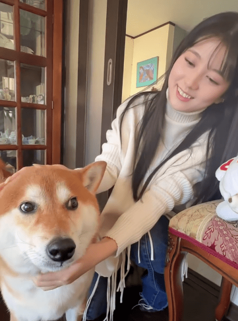 「可愛すぎてずっと撫で回してました」ノンノ専属読モ・せきぐちりさ、柴犬たわむれムービーが可愛すぎる！