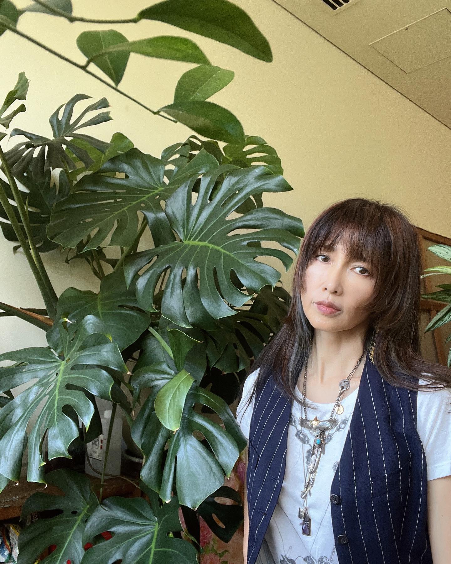 工藤静香「多分２、３年先かな？」植物生い茂る自宅公開で話題に🏠🌱