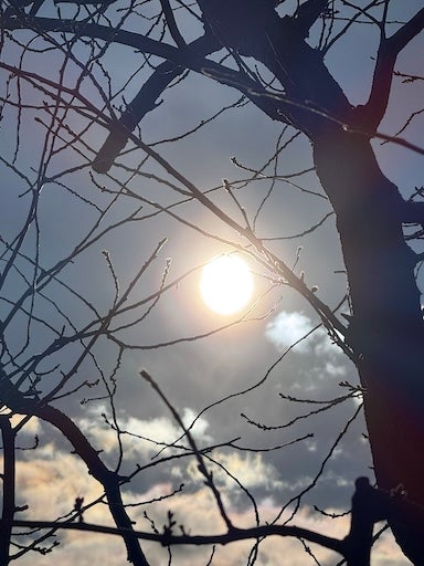 早起き俳優・松山ケンイチ　日の出を逃した理由はなんと〇〇！？うっかりさんな一面を公開！