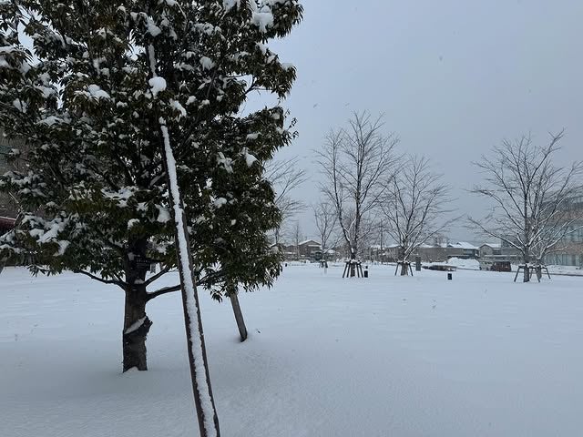 「40歳の最後は、胃腸炎でした！」Superfly越智志帆が41歳誕生日迎える！プチアクシデントも「本日、元気。 いいスタートです。」