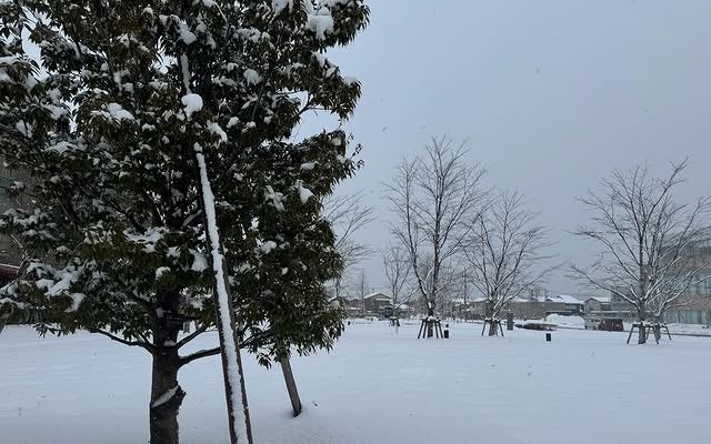 「40歳の最後は、胃腸炎でした！」Superfly越智志帆が41歳誕生日迎える！プチアクシデントも「本日、元気。 いいスタートです。」