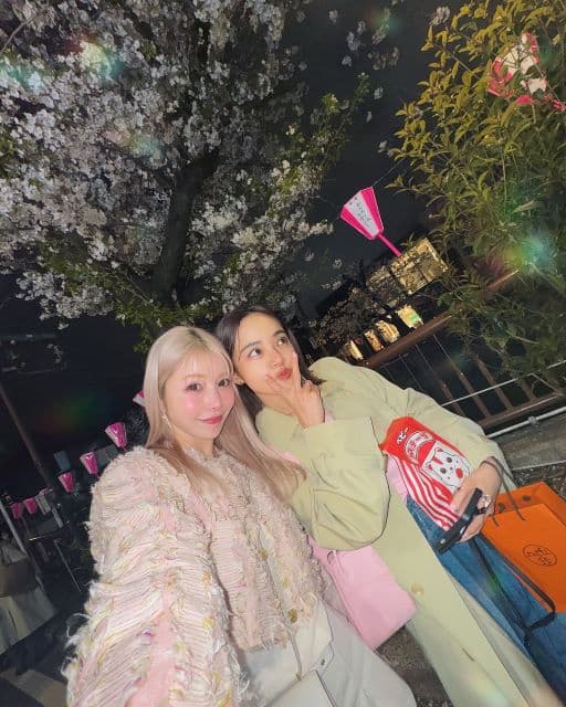 「桜は儚くて美しいね」住谷杏奈、春名亜美と今年最後のお花見を満喫し夜桜ショットを公開！