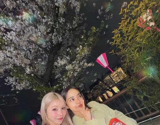 「桜は儚くて美しいね」住谷杏奈、春名亜美と今年最後のお花見を満喫し夜桜ショットを公開！