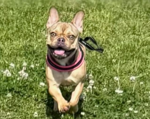 古賀紗理那、淡路島旅と結婚式でのひとときを報告