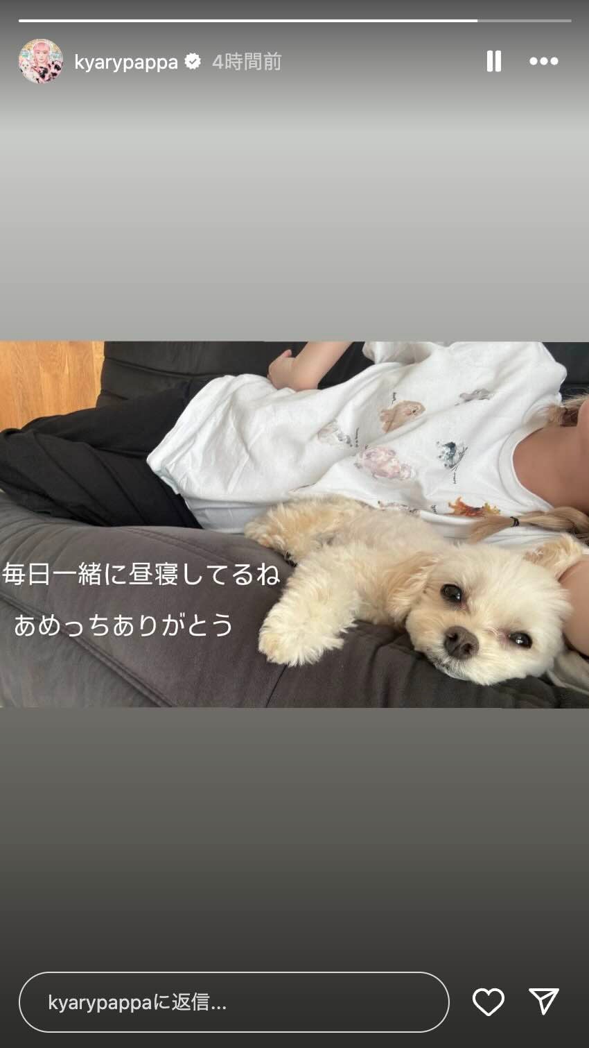 「毎日一緒に昼寝してるね」きゃりーぱみゅぱみゅの添い寝相手とは？