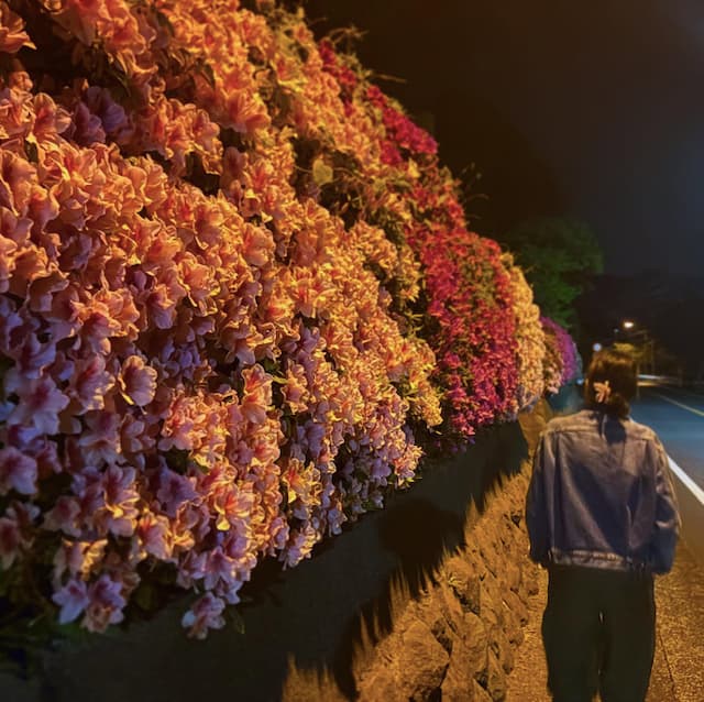 板谷由夏が新月に幻想的なツツジの写真を投稿！