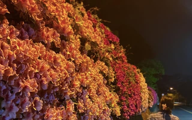 板谷由夏が新月に幻想的なツツジの写真を投稿！