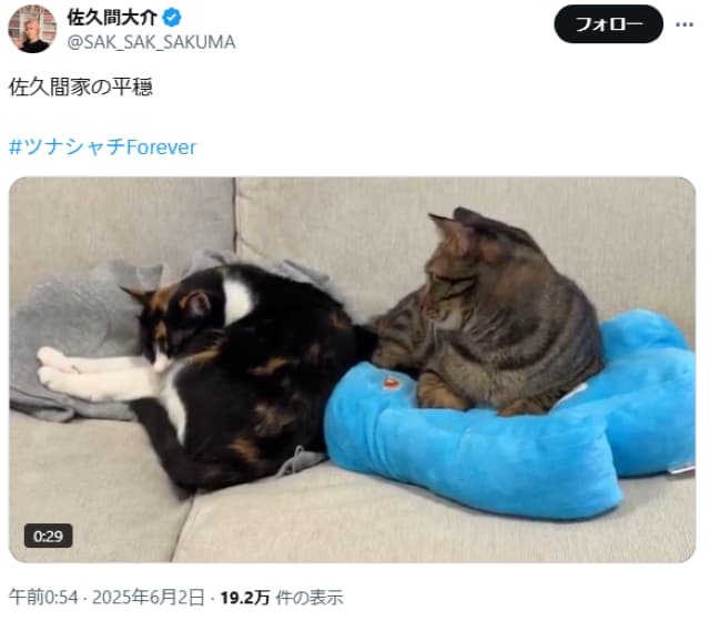 佐久間家の「シャチ＆ツナ」平和の象徴！