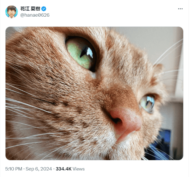 声優・花江夏樹が愛猫のドアップ写真を公開！「逃げないのすごいですね！」